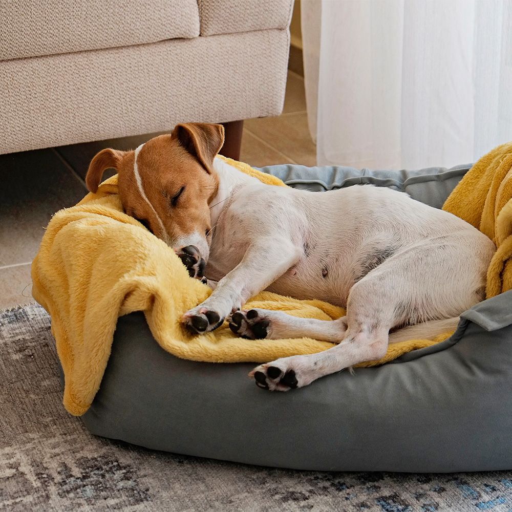 Kemiallisen kastraation käyttökohteet