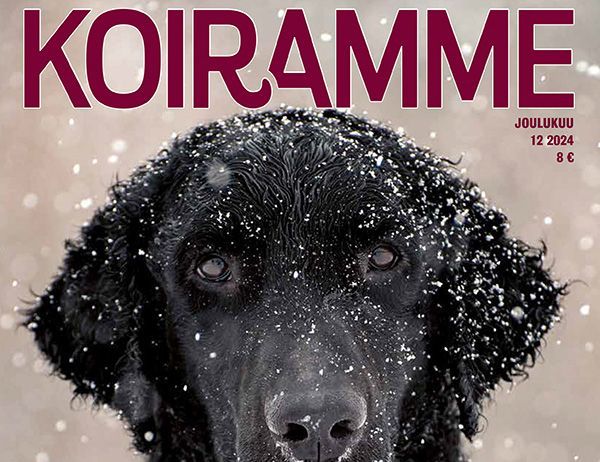Koiramme-lehti 12/2024