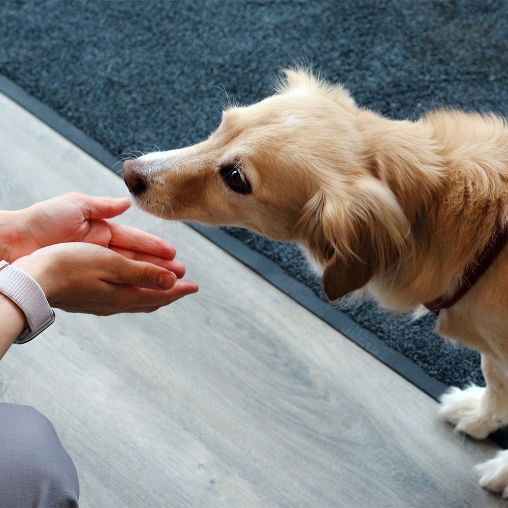 Lisääntymiselimistön ultraäänitutkimus