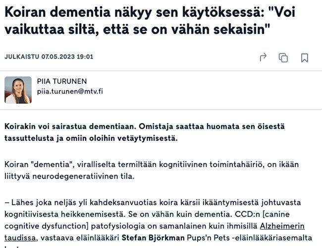 Koiran dementia näkyy sen käytöksessä: 