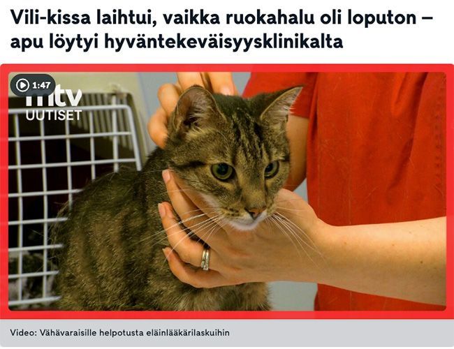 Vili-kissa laihtui, vaikka ruokahalu oli loputon - apu löytyi hyväntekeväisyysklinikalta