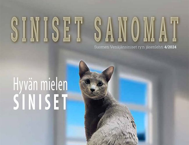 Siniset Sanomat 4/2024