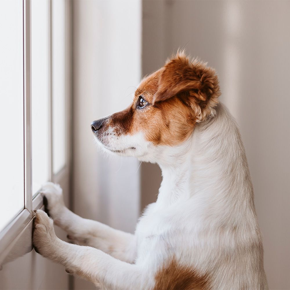 Usein kysytyt kysymykset steriloinnista