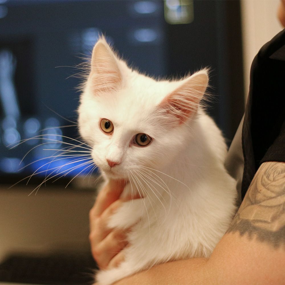 Direkter Entschädigungsservice