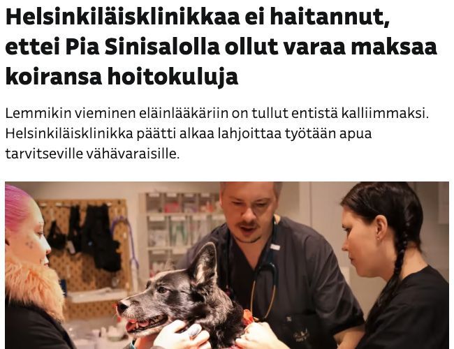 Helsinkiläisklinikkaa ei haitannut, ettei Pia Sinisalolla ollut varaa maksaa koiransa hoitokuluja