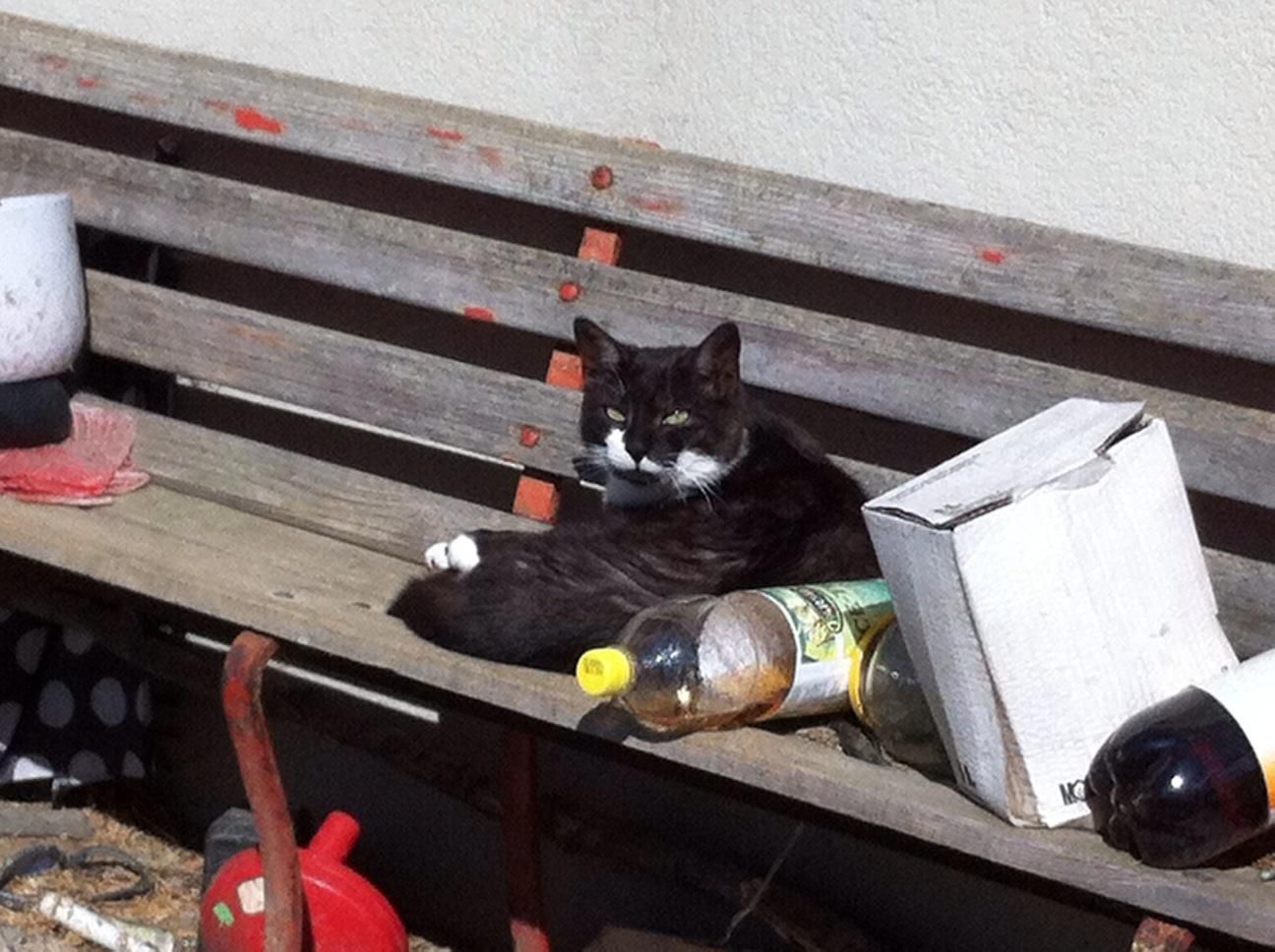 Haldenhof Gundetswil