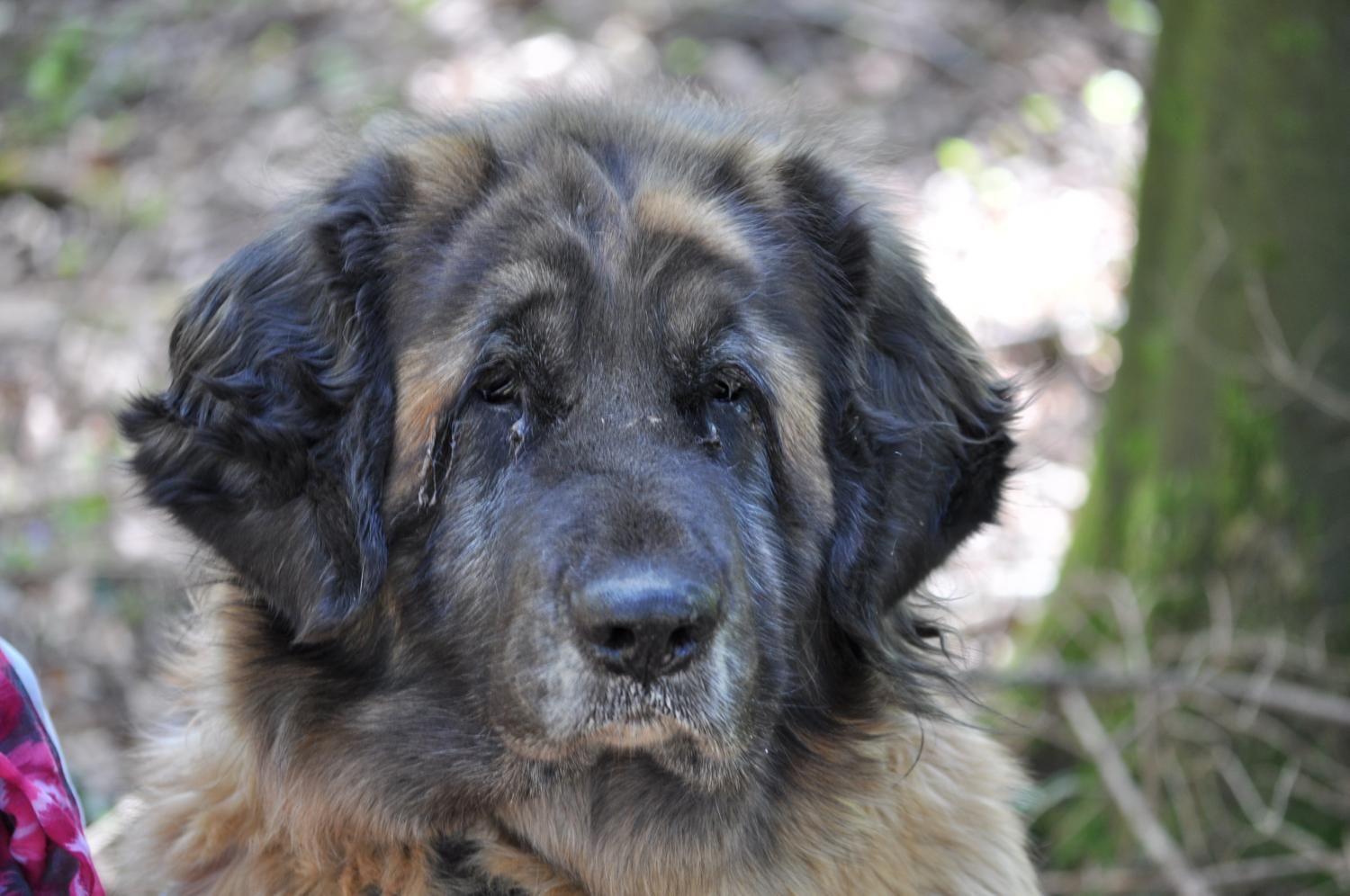 Haldenhof Gundetswil