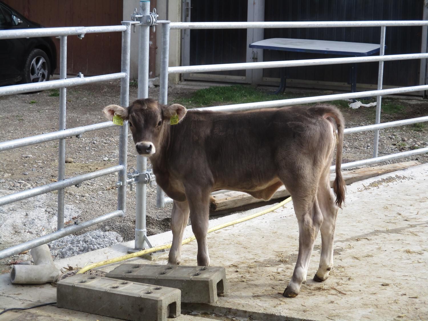 Haldenhof Gundetswil