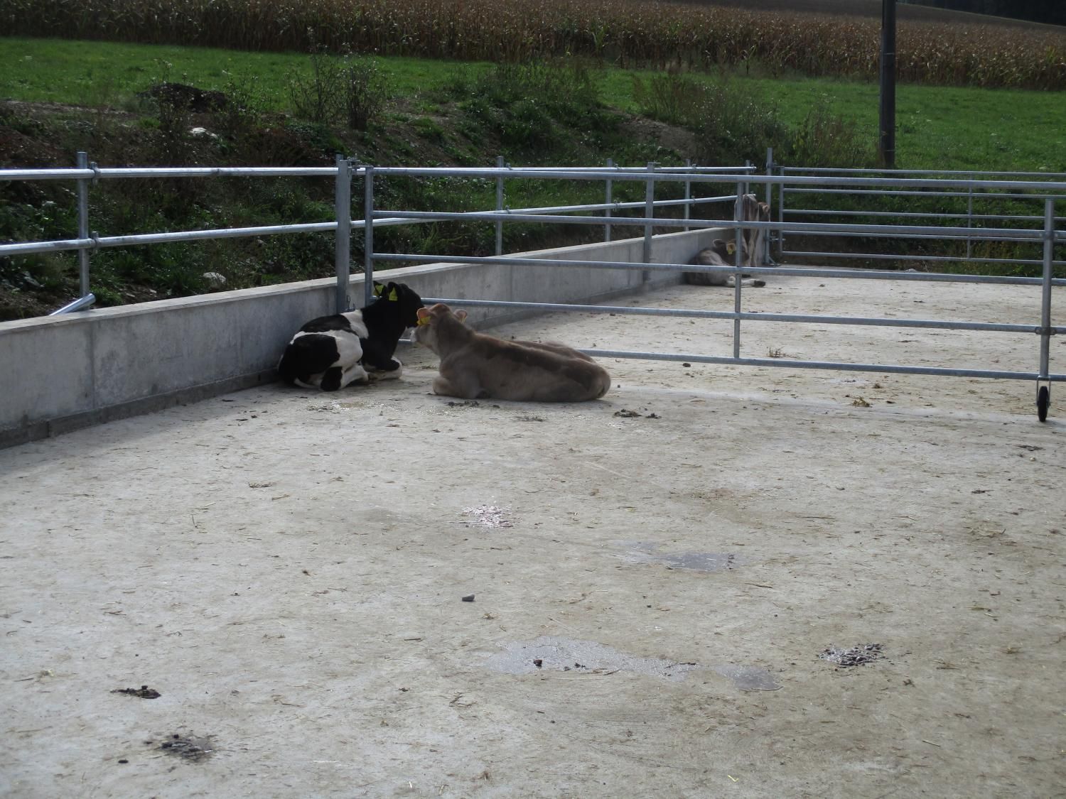 Haldenhof Gundetswil