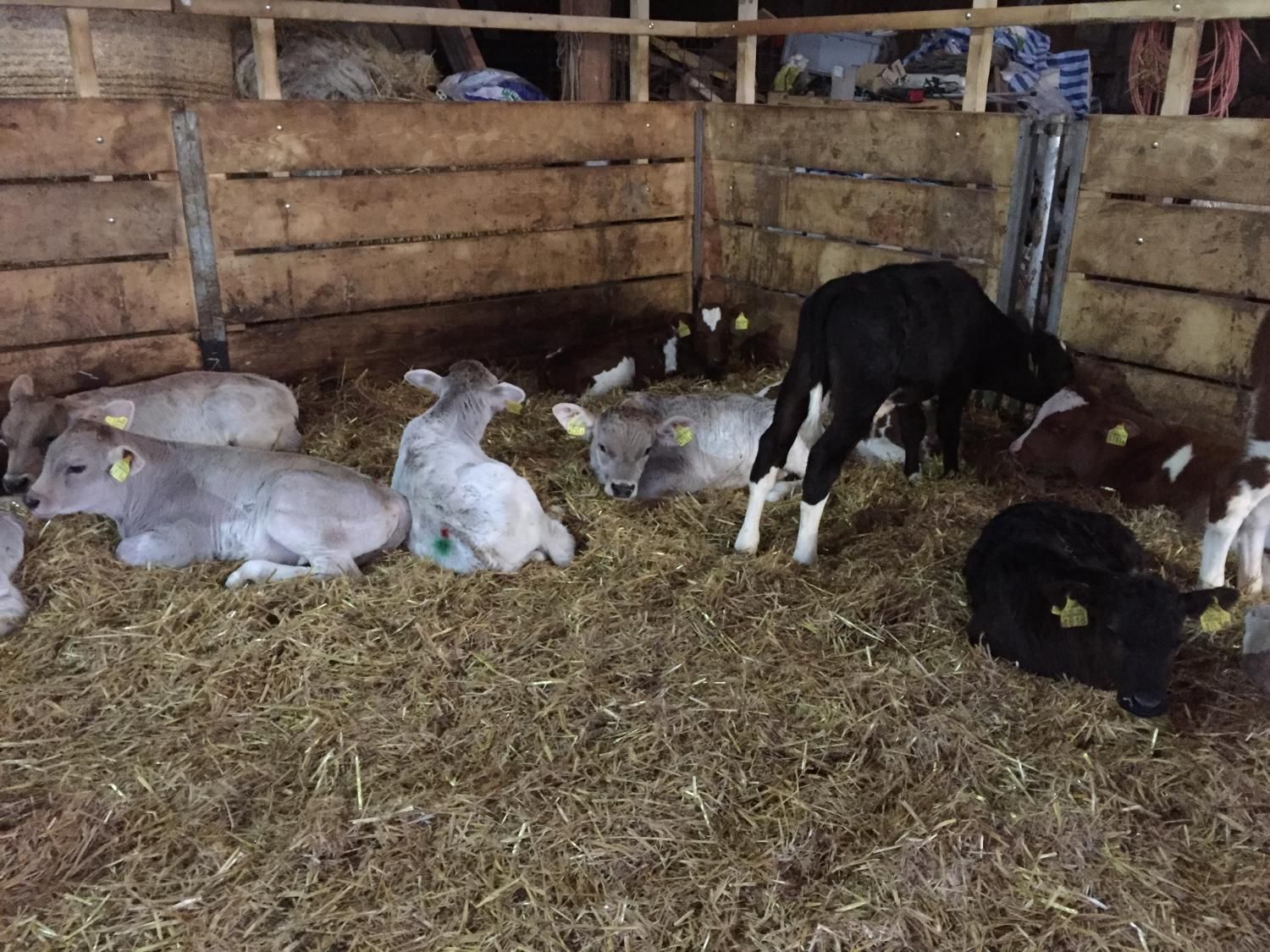 Haldenhof Gundetswil