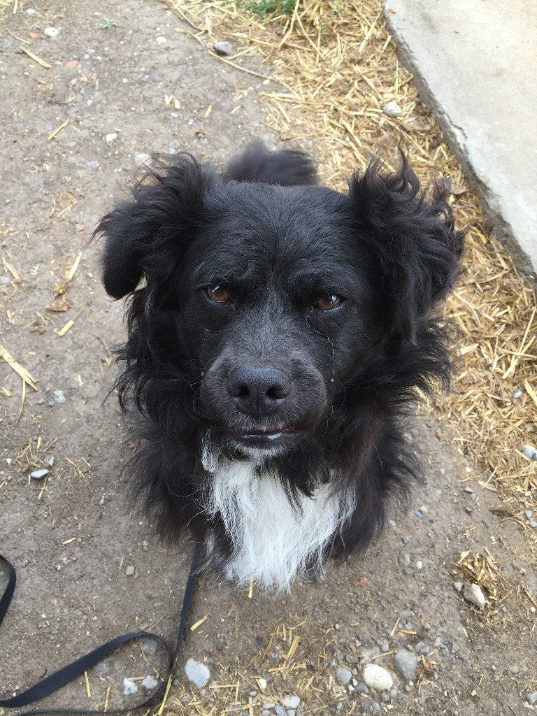 Haldenhof Gundetswil