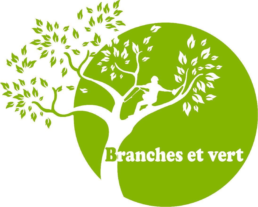 Logo Branches et vert