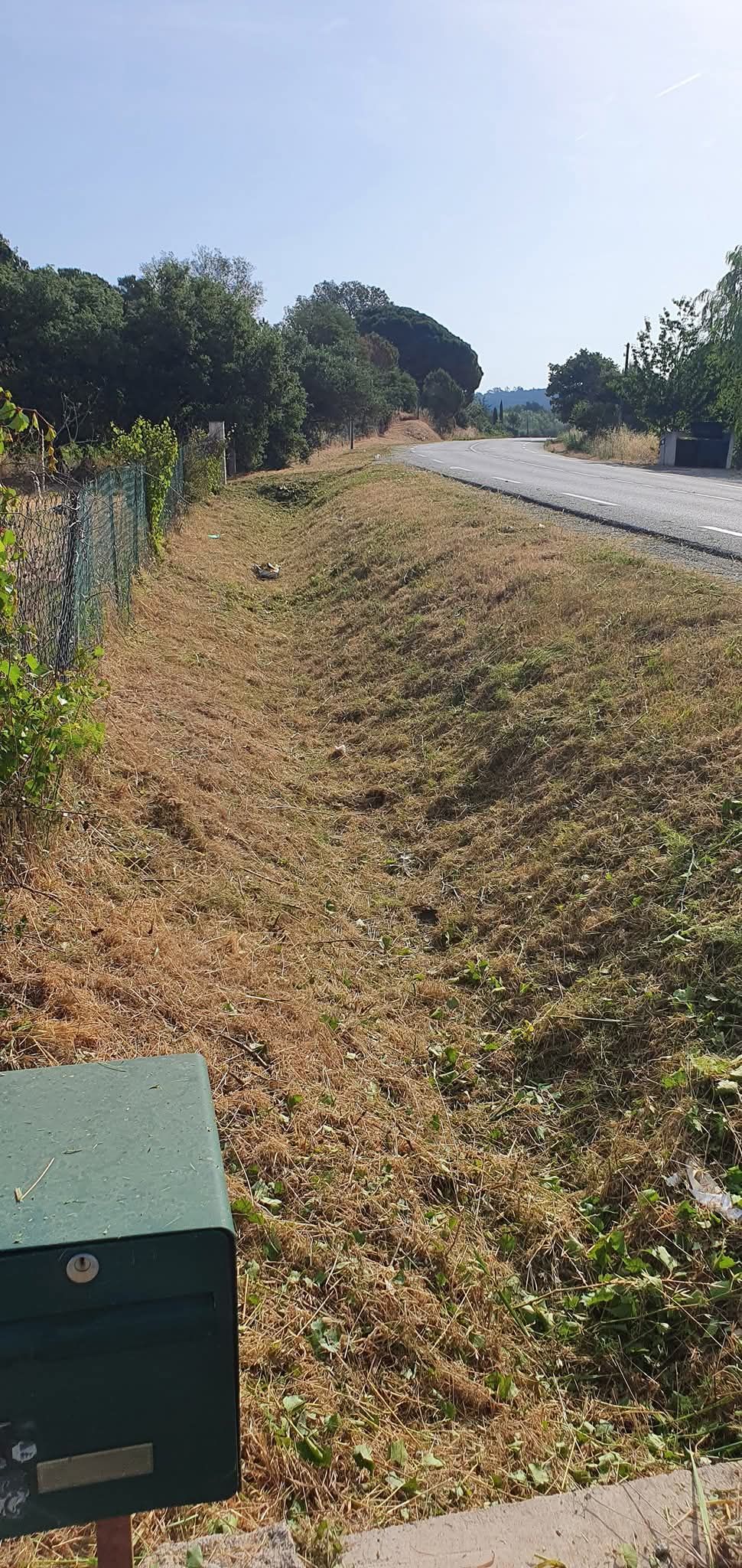 Une route bordée d'herbe tondue et d'arbres sous un ciel d'un bleu limpide. Une boîte aux lettres est visible sur la gauche.