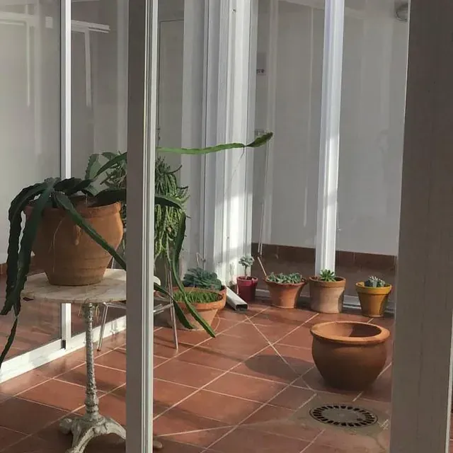 Una habitación con muchas plantas en macetas en el suelo.