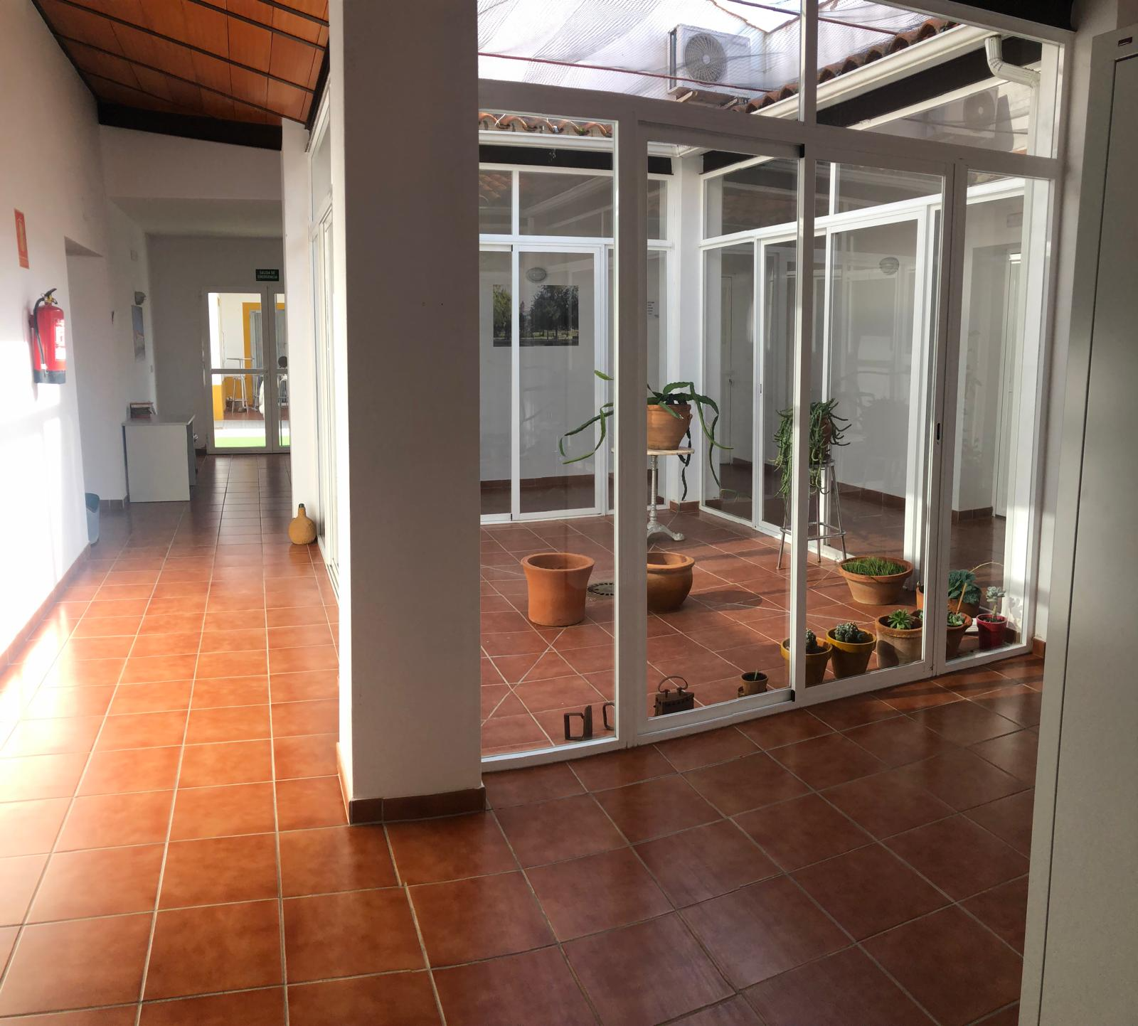 Un pasillo con muchas ventanas y plantas en macetas.