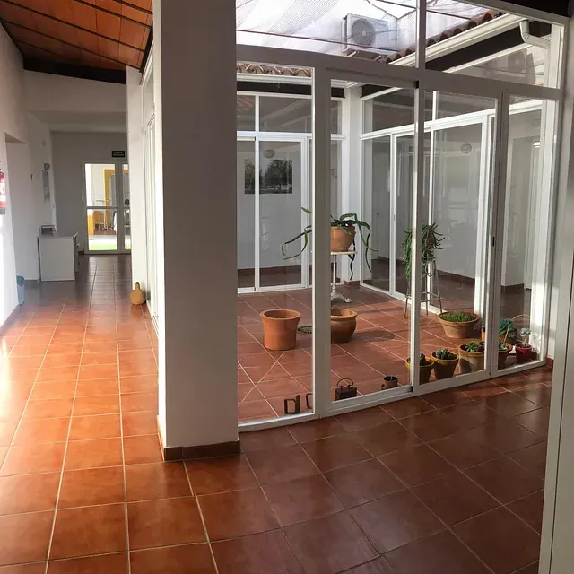 Una habitación con muchas ventanas y plantas en macetas en el suelo.