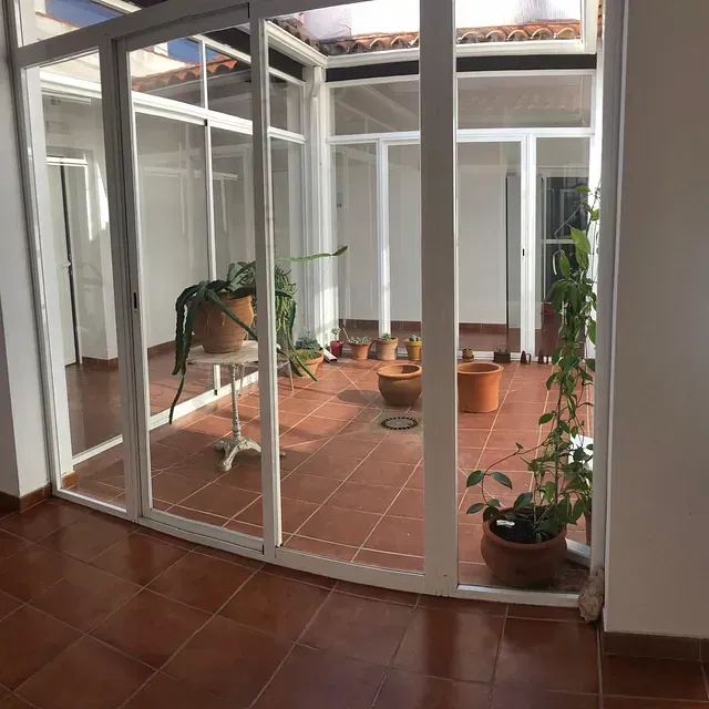 Una habitación con muchas ventanas y plantas en macetas.