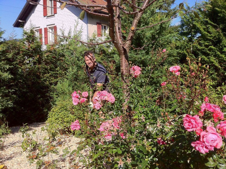 realisations-entretien-de-jardins-et-parcs-valnatura-sarl-vallorbe-vaud