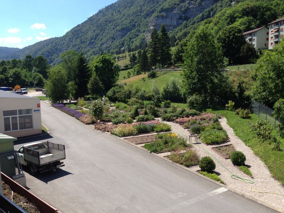 realisations-entretien-de-jardins-et-parcs-valnatura-sarl-vallorbe-vaud