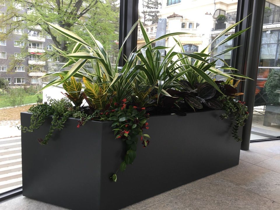 realisations-plantations-vegetaux-valnatura-sarl-vallorbe-vaud