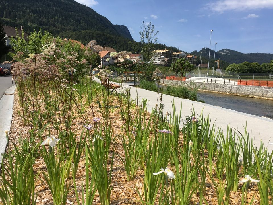 realisations-plantations-vegetaux-valnatura-sarl-vallorbe-vaud