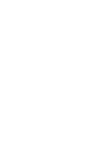 Rectangle vertical blanc uni avec une fine bordure noire sur le côté droit.