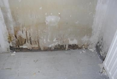 Schimmelige Wand, wahrscheinlich durch Wasserschaden, mit abblätternder Farbe, in einer Ecke.