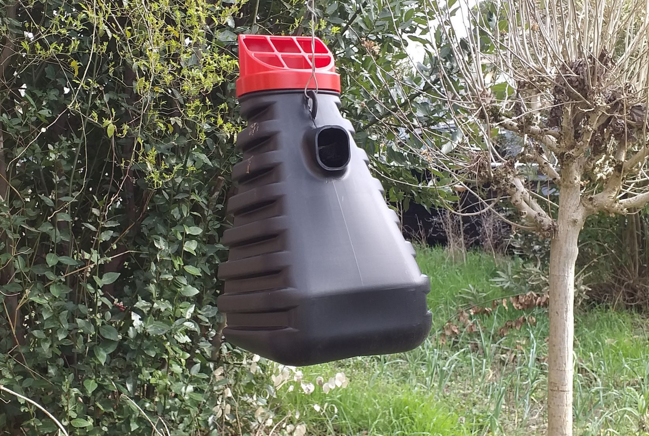 Piège à guêpes noir suspendu à un arbre.