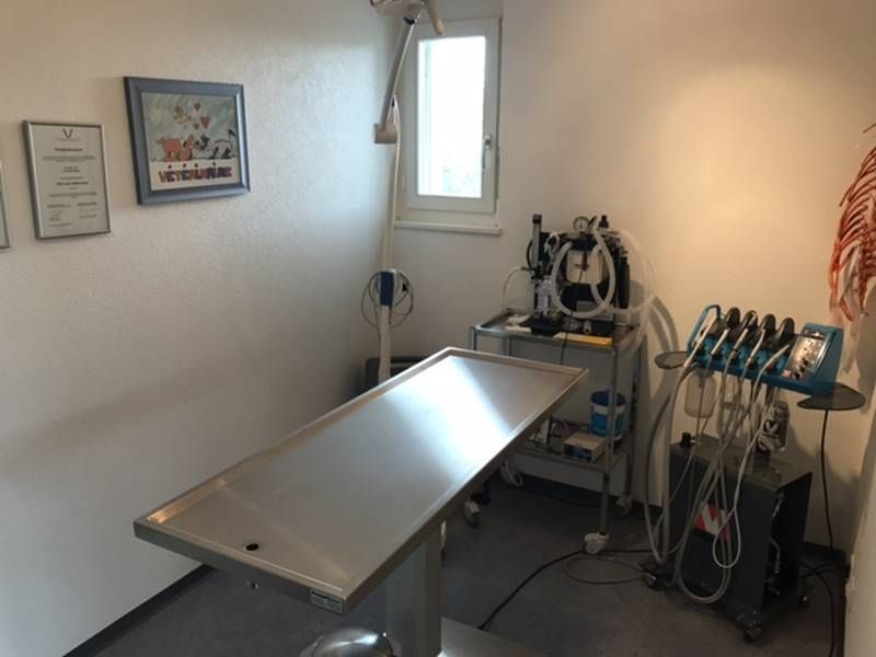 Cabinet vétérinaire Engeli Jolanda - Chirurgie générale - Sottens