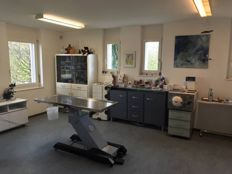 Cabinet vétérinaire Engeli Jolanda - Coaching comportement canin - Sottens