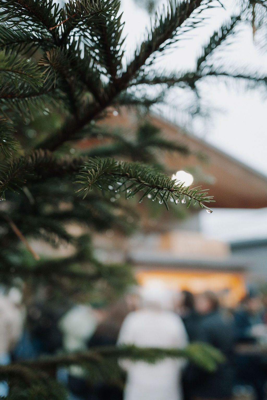 Winterzauber 2025 in der Produktionshalle von Häckl