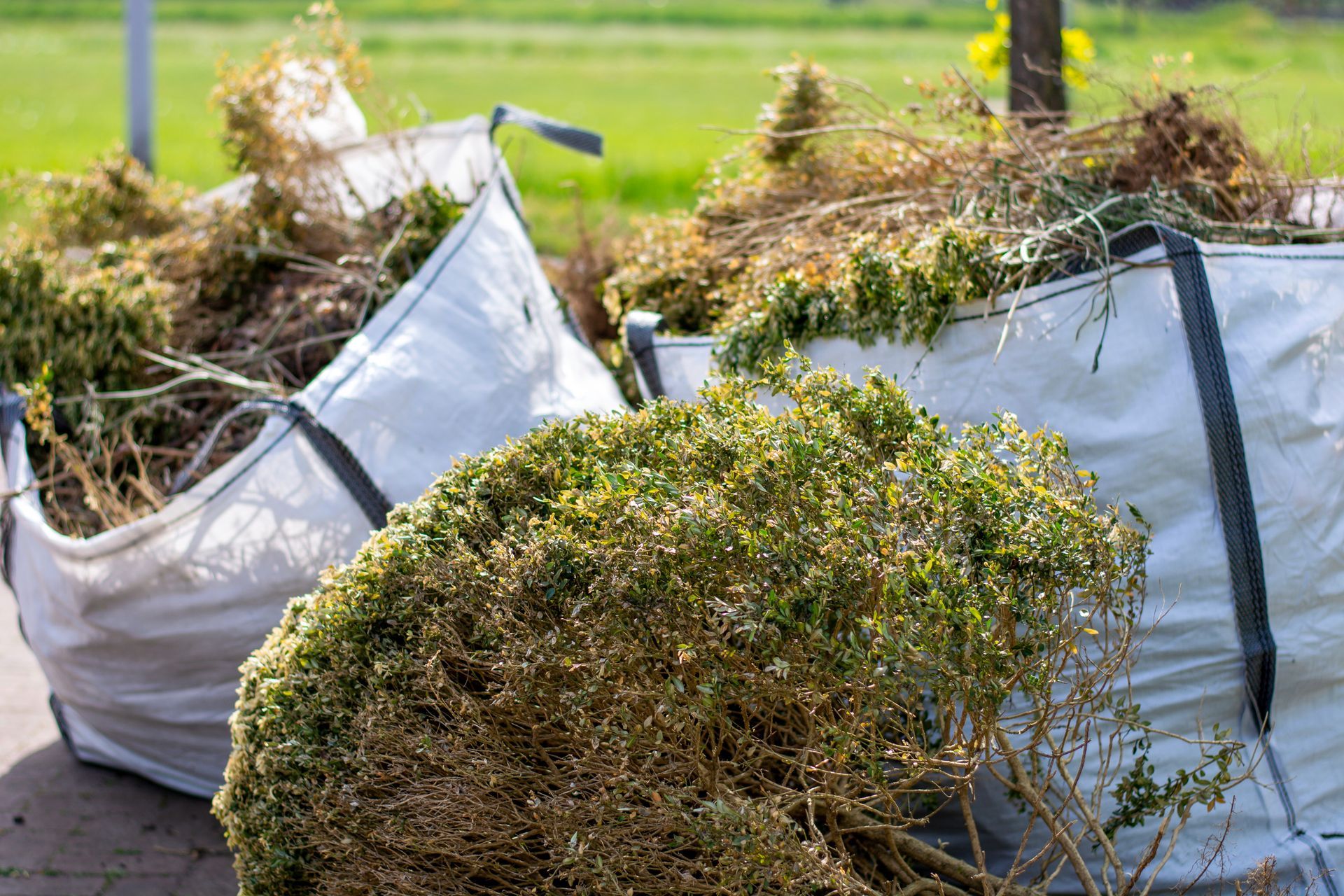 Des sacs remplis de déchets verts.