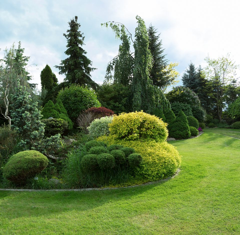 Un paysage avec des massifs floraux et arbustes.