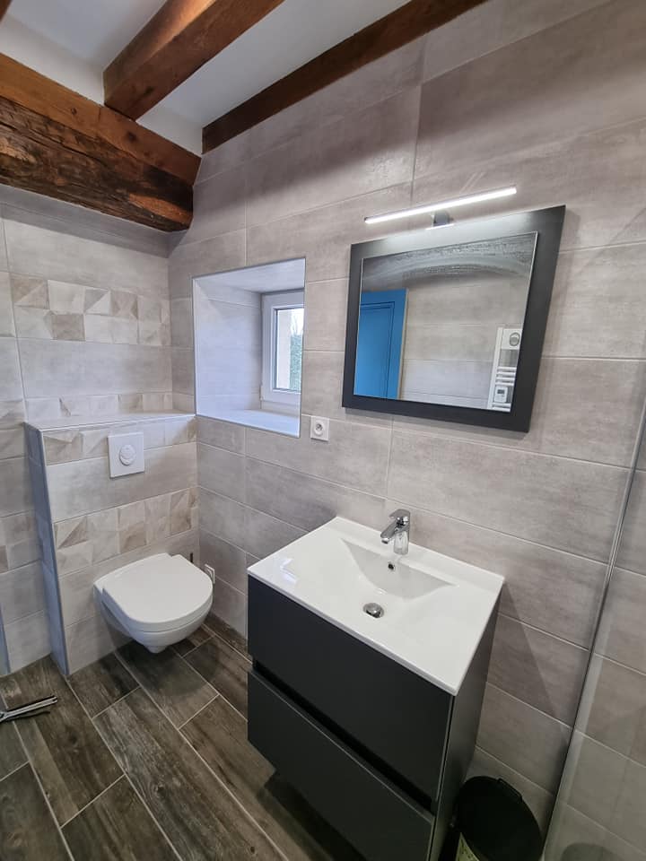 Salle d'eau avec WC et un grand lavabo