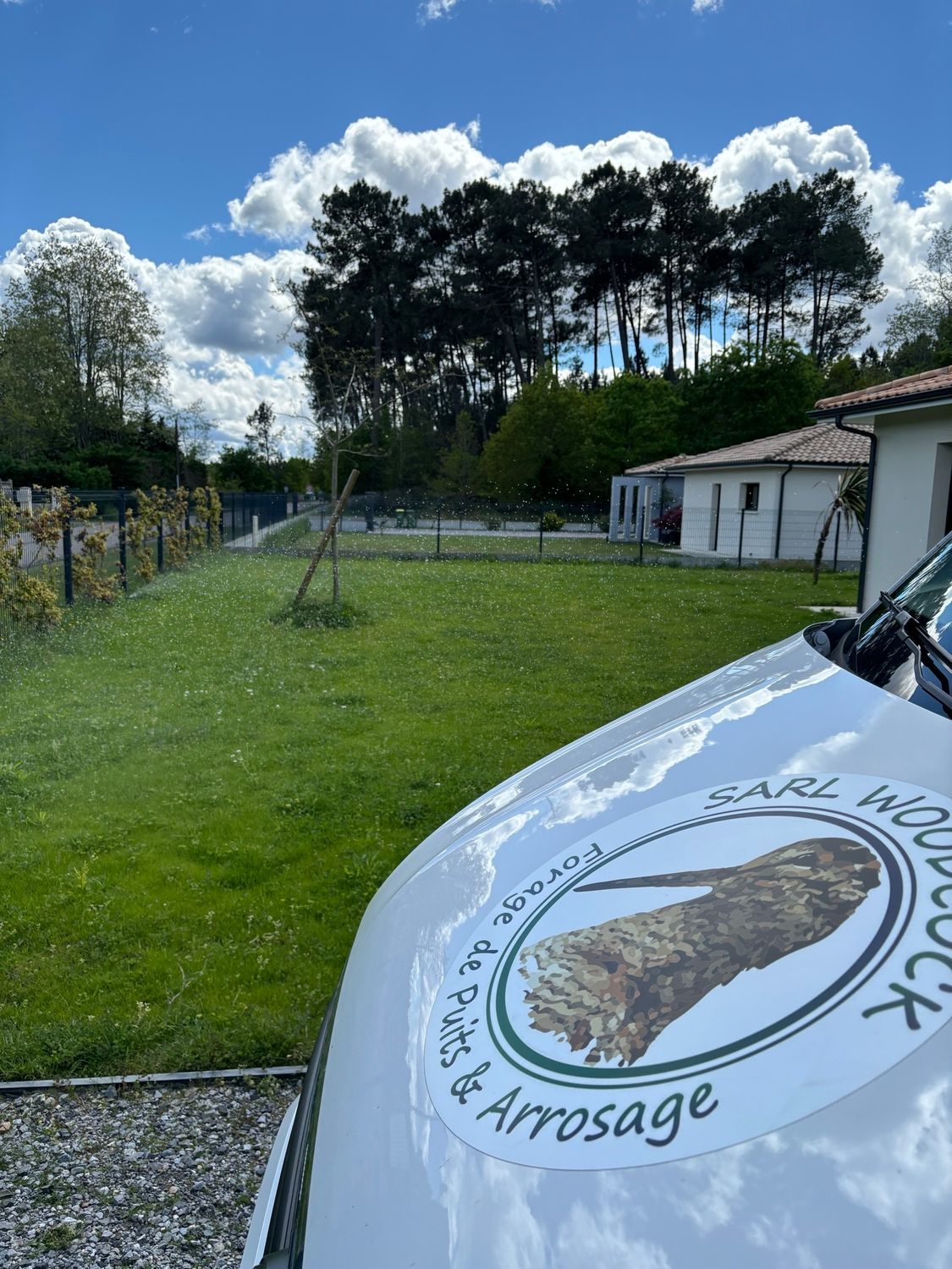 forage eau gazon arrosage automatique