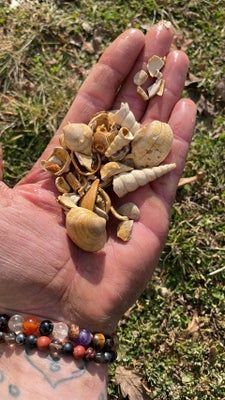 Sédiment source d'eau