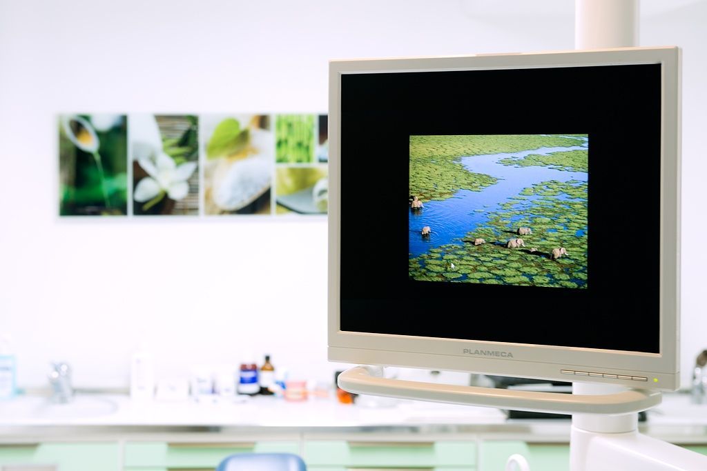 Cabinet dentaire Freesia Alba - Lausanne