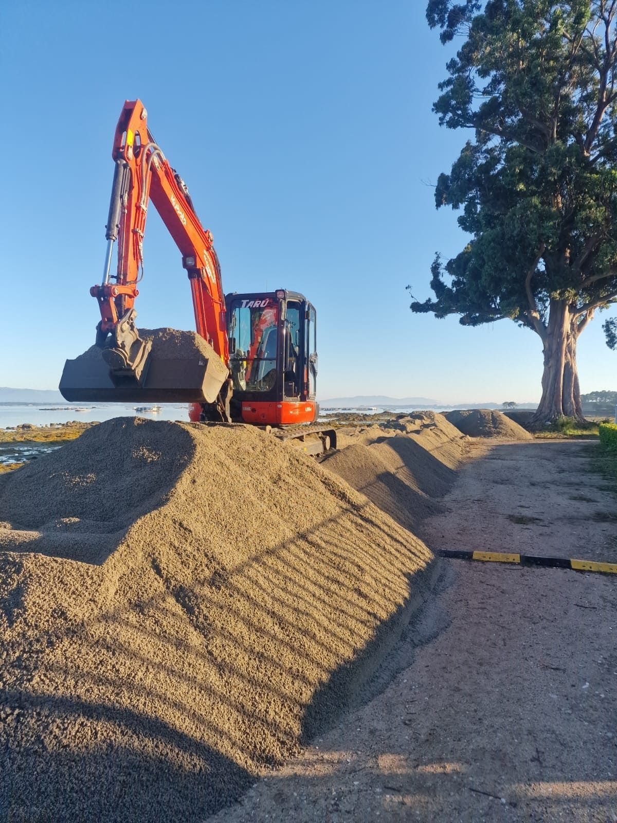 Excavadora cargando tierra en una obra de construcción junto a un árbol y bajo un cielo azul.