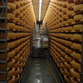 Fromagerie de Grandcour - Caves