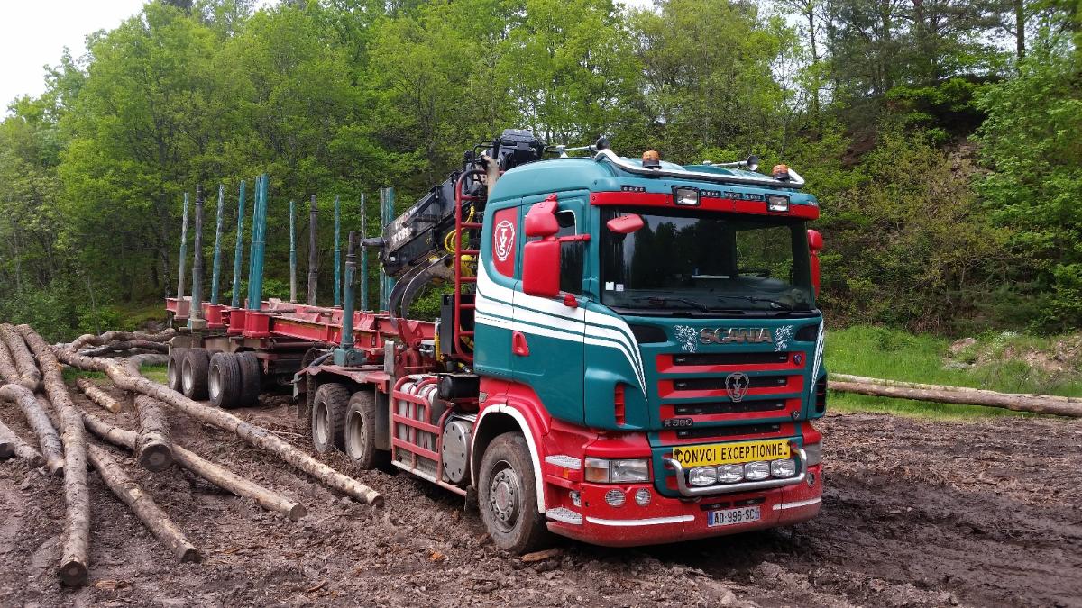 Livraison de bois à Champ-le-Duc
