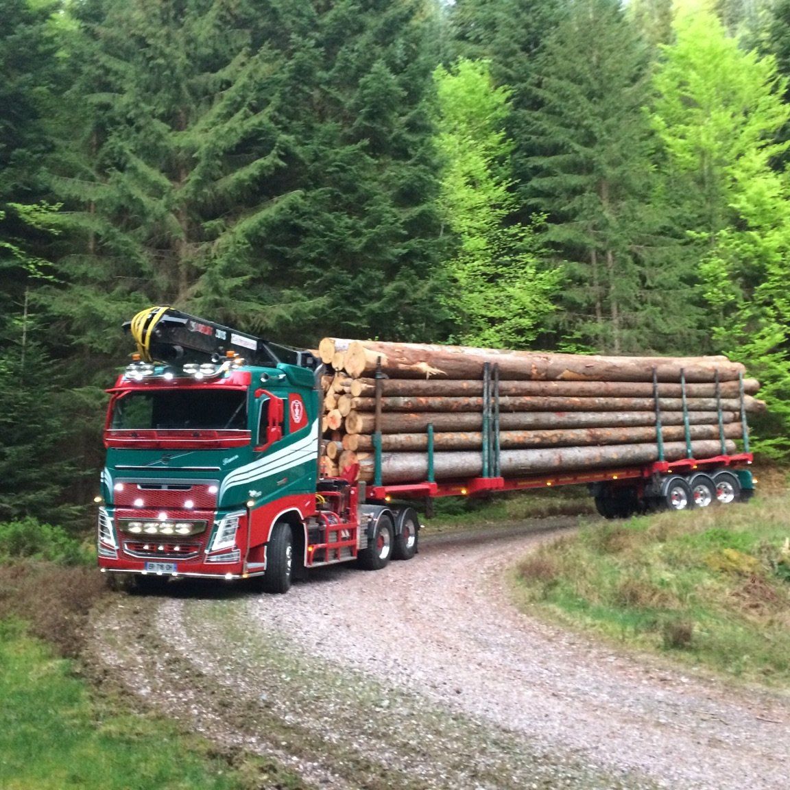 Transport de bois par un expert