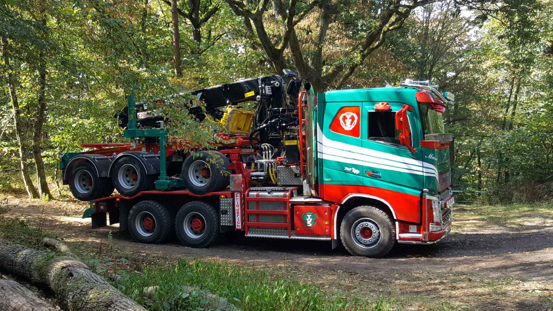 Abattage à Champ-le-Duc