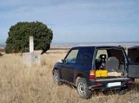Una camioneta negra está estacionada en un campo con un árbol al fondo.