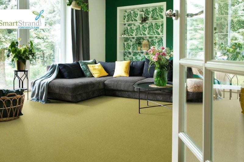 Teppichboden von STÄHELIN Teppich & Bodenbeläge Parkett