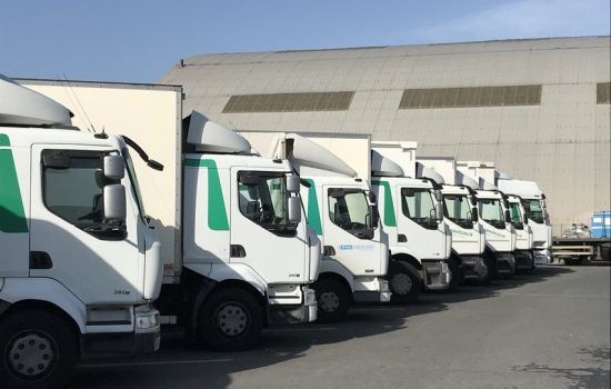 Une rangée de camions de livraison blancs avec des touches de vert, stationnés devant un entrepôt par une journée ensoleillée.
