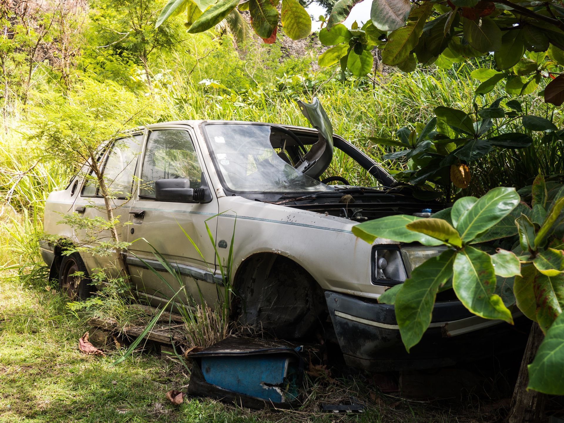 Voiture abandonnée, pare-brise brisé, au milieu d'une végétation envahissante.