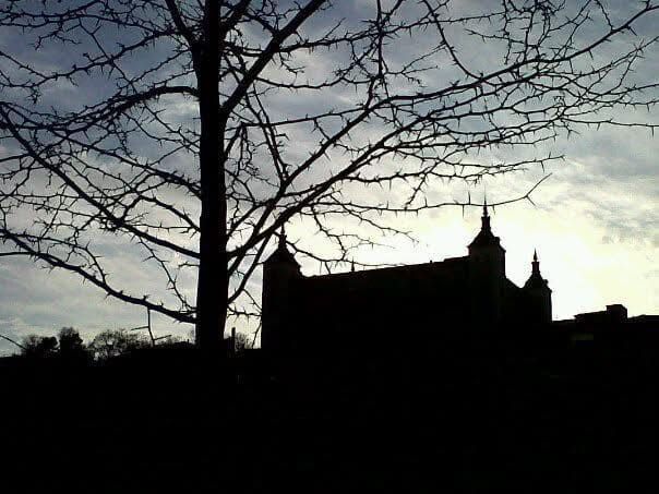Silueta de un castillo y ramas de árboles desnudos contra un cielo nublado.