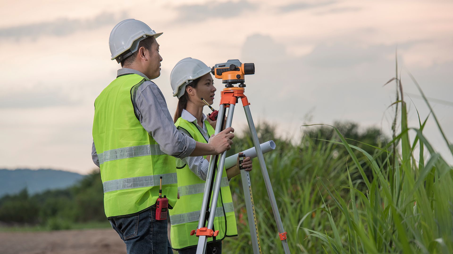 imagen servicio principal