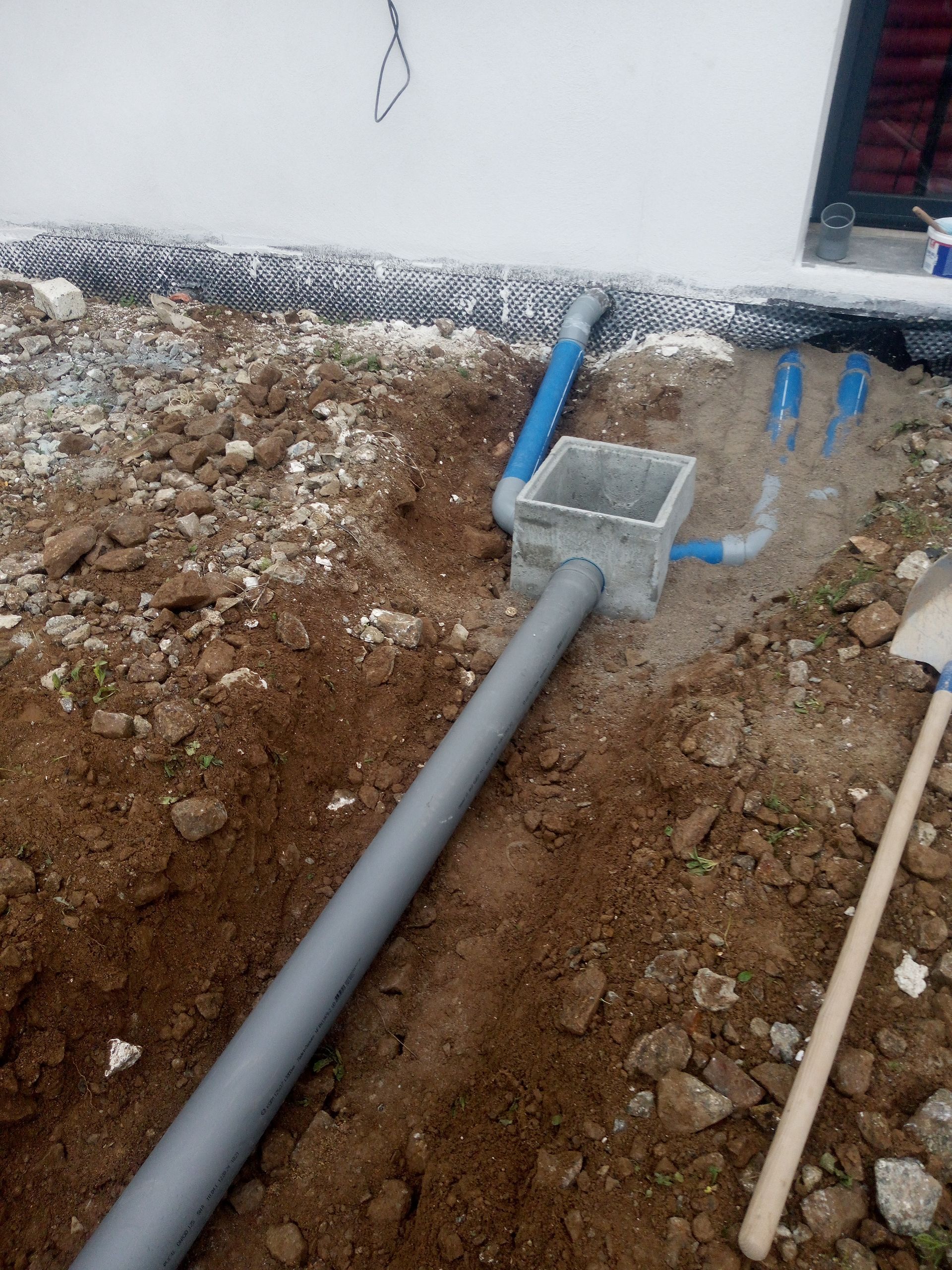 Un nid de guêpes est suspendu à une branche d'arbre sur fond de ciel nuageux.