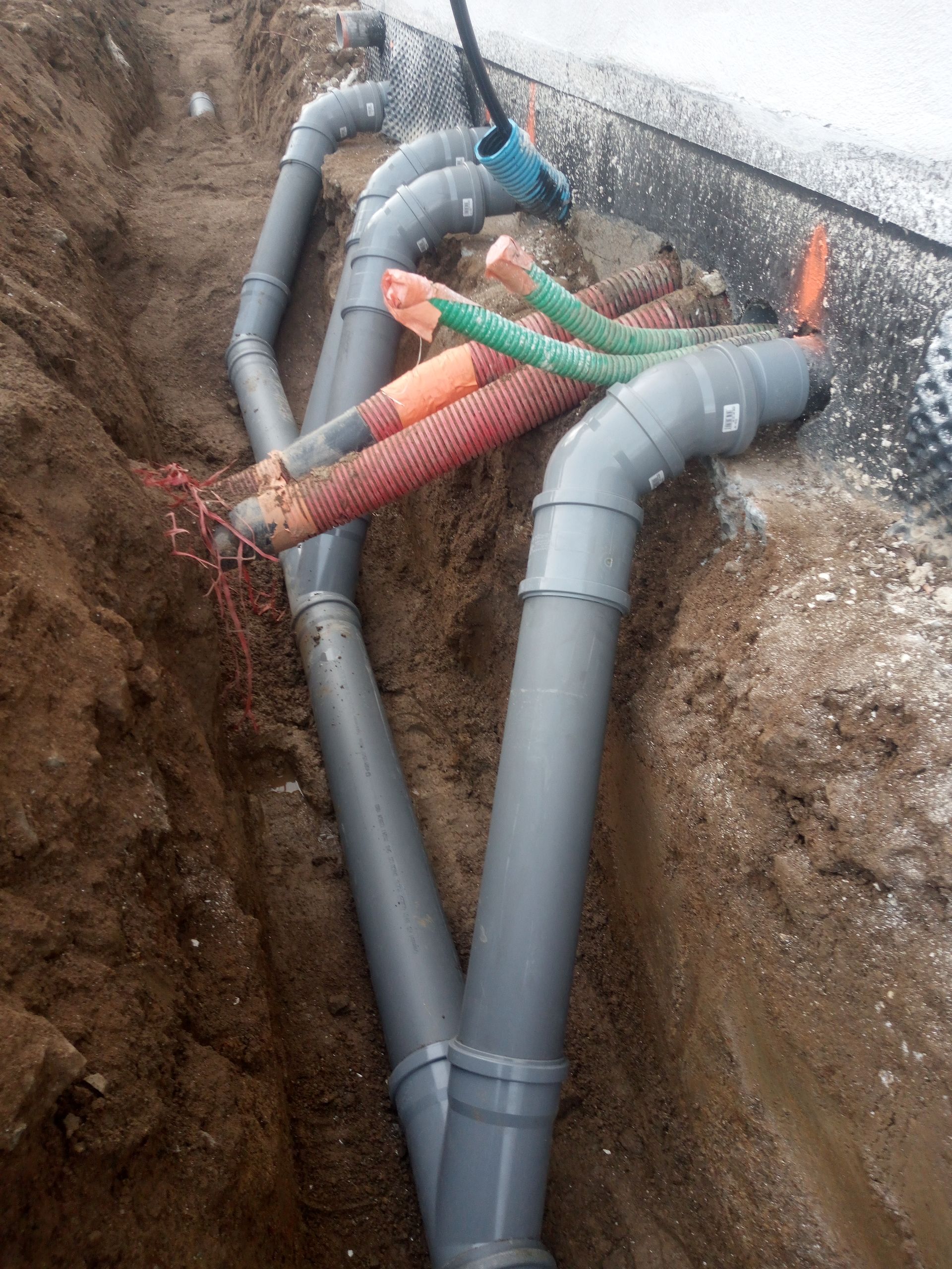 Frelon européen en vol, corps jaune et brun, ailes transparentes, arrière-plan flou.